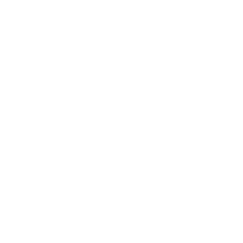 logo_bailly_blanc